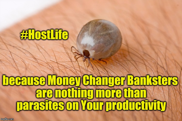 #HostLife | #HostLife; because Money Changer Banksters are nothing more than parasites on Your productivity | image tagged in tick | made w/ Imgflip meme maker