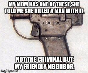 Small Gun Miss | MY MOM HAS ONE OF THESE,SHE TOLD ME SHE KILLED A MAN WITH IT, NOT THE CRIMINAL BUT MY FRIENDLY NEIGHBOR. | image tagged in memes | made w/ Imgflip meme maker