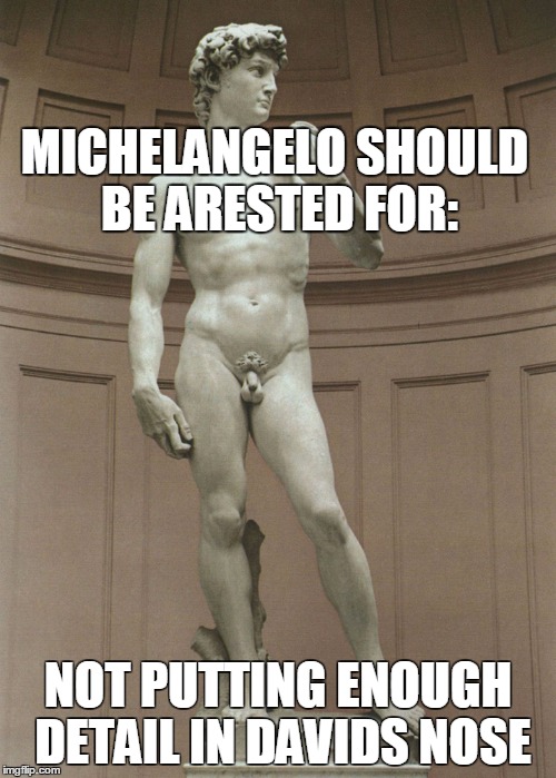 Michelangelo | MICHELANGELO SHOULD BE ARESTED FOR:; NOT PUTTING ENOUGH DETAIL IN DAVIDS NOSE | image tagged in david | made w/ Imgflip meme maker