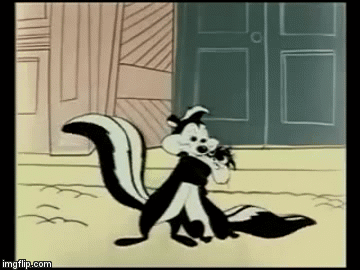 image tagged in gifs | made w/ Imgflip video-to-gif maker