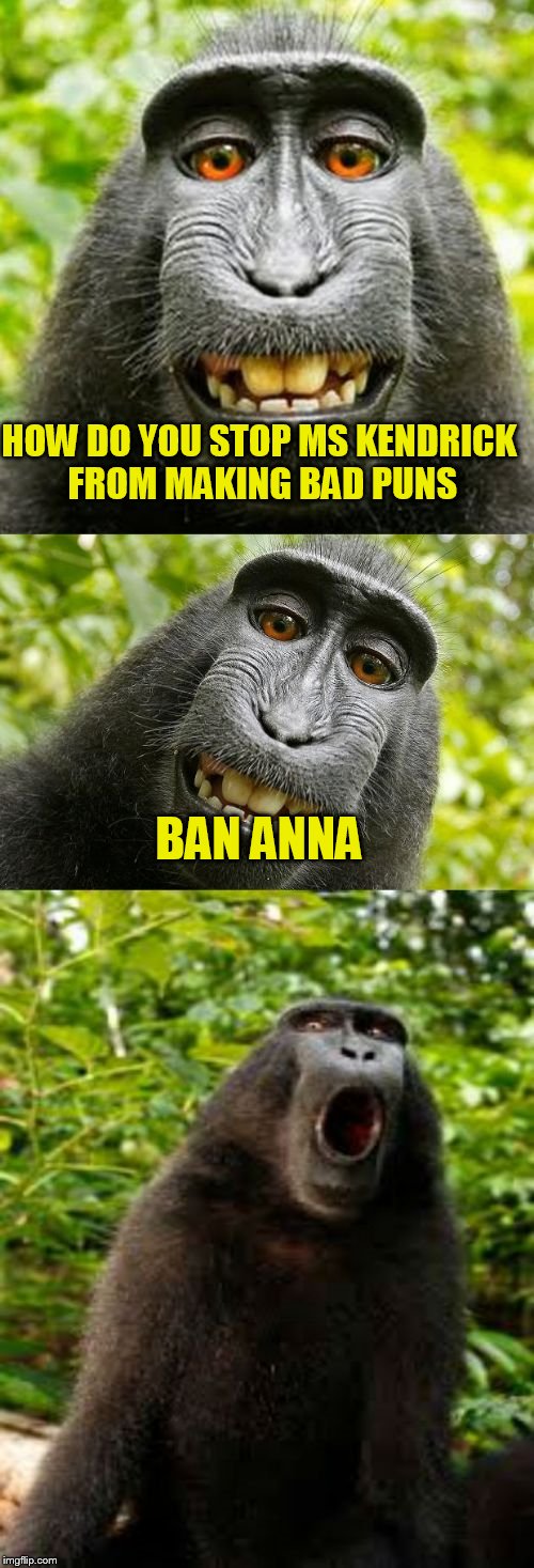 I couldn't just stop at two | HOW DO YOU STOP MS KENDRICK FROM MAKING BAD PUNS; BAN ANNA | image tagged in bad pun monkey,banana week | made w/ Imgflip meme maker