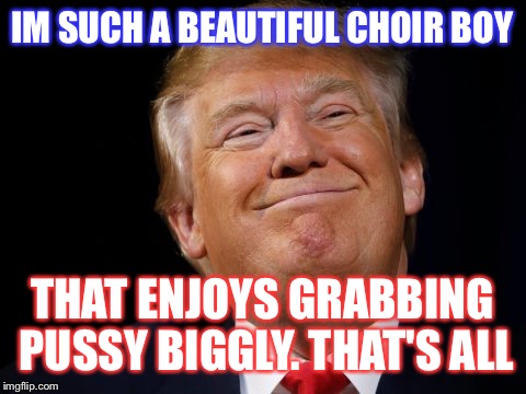 IM SUCH A BEAUTIFUL CHOIR BOY THAT ENJOYS GRABBING PUSSY BIGGLY. THAT'S ALL | made w/ Imgflip meme maker