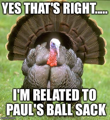 Turkey | YES THAT'S RIGHT..... I'M RELATED TO PAUL'S BALL SACK | image tagged in memes,turkey | made w/ Imgflip meme maker