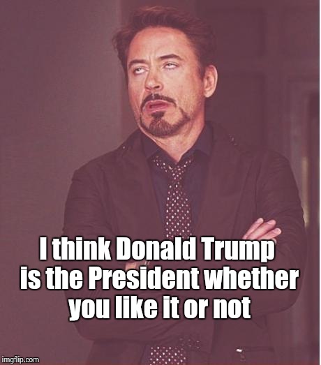 Face You Make Robert Downey Jr Meme | I think Donald Trump is the President whether you like it or not | image tagged in memes,face you make robert downey jr | made w/ Imgflip meme maker