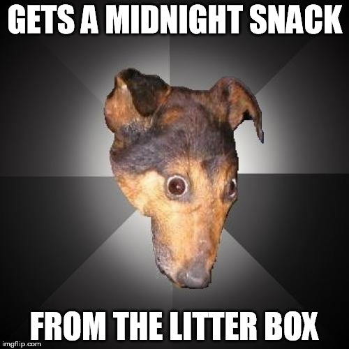 Depression Dog Meme | GETS A MIDNIGHT SNACK; FROM THE LITTER BOX | image tagged in memes,depression dog | made w/ Imgflip meme maker
