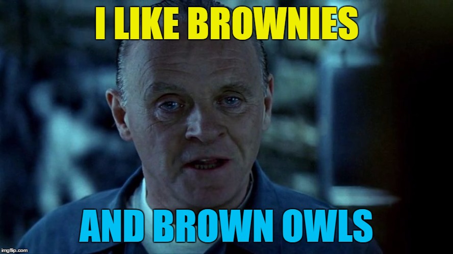 I LIKE BROWNIES AND BROWN OWLS | made w/ Imgflip meme maker