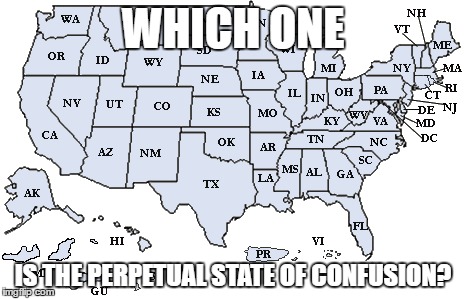 The Perpetual State of Confusion | WHICH ONE; IS THE PERPETUAL STATE OF CONFUSION? | image tagged in confusing,usa,confusion,forgetful,forgetfulness,map of united states | made w/ Imgflip meme maker