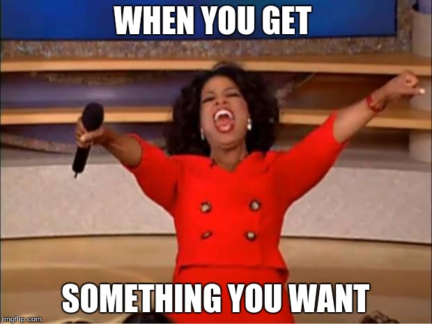 Oprah You Get A | WHEN YOU GET; SOMETHING YOU WANT | image tagged in memes,oprah you get a | made w/ Imgflip meme maker