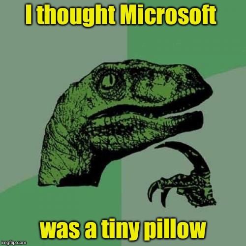 Philosoraptor | I thought Microsoft; was a tiny pillow | image tagged in memes,philosoraptor | made w/ Imgflip meme maker