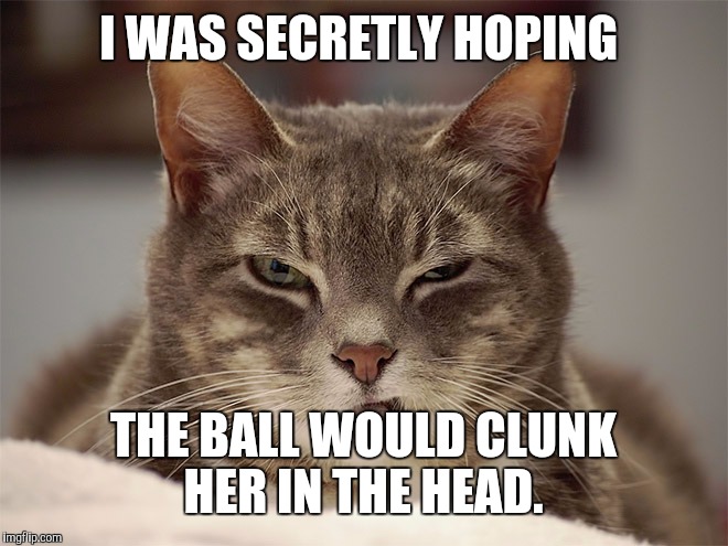 Sarcasm Cat | I WAS SECRETLY HOPING THE BALL WOULD CLUNK HER IN THE HEAD. | image tagged in sarcasm cat | made w/ Imgflip meme maker