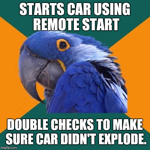 Paranoid Parrot | STARTS CAR USING REMOTE START; DOUBLE CHECKS TO MAKE SURE CAR DIDN'T EXPLODE. | image tagged in memes,paranoid parrot | made w/ Imgflip meme maker