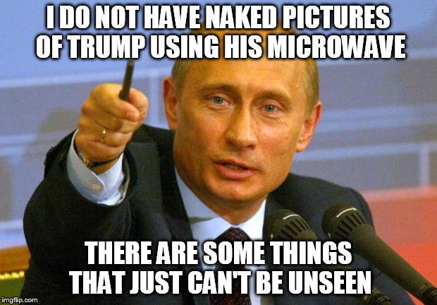 Good Guy Putin Meme | I DO NOT HAVE NAKED PICTURES OF TRUMP USING HIS MICROWAVE; THERE ARE SOME THINGS THAT JUST CAN'T BE UNSEEN | image tagged in memes,good guy putin | made w/ Imgflip meme maker