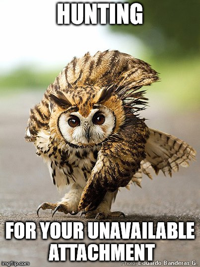 your attachment is unavailabOWL | HUNTING; FOR YOUR UNAVAILABLE ATTACHMENT | image tagged in attachment unavailable,owl,birb,bird | made w/ Imgflip meme maker