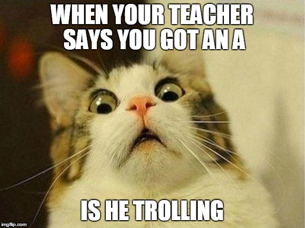 Scared Cat | WHEN YOUR TEACHER SAYS YOU GOT AN A; IS HE TROLLING | image tagged in memes,scared cat | made w/ Imgflip meme maker