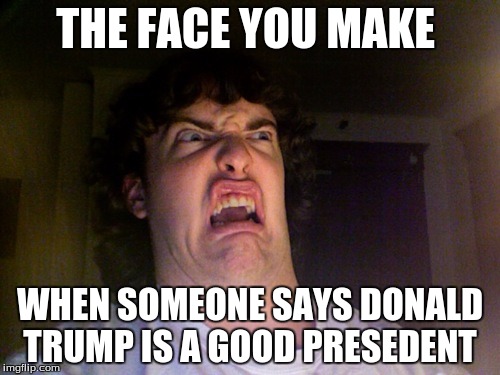 Oh No Meme | THE FACE YOU MAKE; WHEN SOMEONE SAYS DONALD TRUMP IS A GOOD PRESEDENT | image tagged in memes,oh no | made w/ Imgflip meme maker