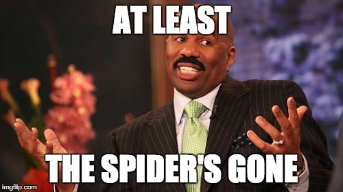 Steve Harvey Meme | AT LEAST THE SPIDER'S GONE | image tagged in memes,steve harvey | made w/ Imgflip meme maker