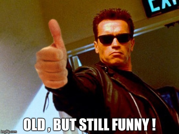 Arnold likes it | OLD , BUT STILL FUNNY ! | image tagged in arnold likes it | made w/ Imgflip meme maker