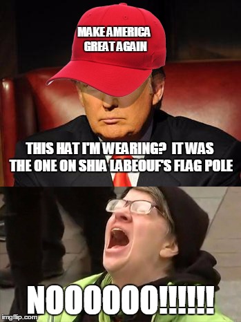 Tormentor in Chief | MAKE AMERICA GREAT AGAIN; THIS HAT I'M WEARING?  IT WAS THE ONE ON SHIA LABEOUF'S FLAG POLE; NOOOOOO!!!!!! | image tagged in trump hat no | made w/ Imgflip meme maker