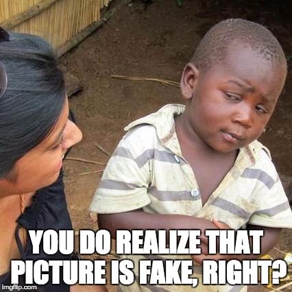 Third World Skeptical Kid Meme | YOU DO REALIZE THAT PICTURE IS FAKE, RIGHT? | image tagged in memes,third world skeptical kid | made w/ Imgflip meme maker