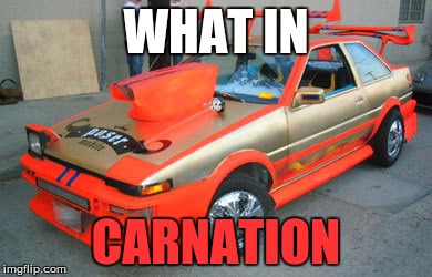 what in carnation | WHAT IN; CARNATION | image tagged in what in tarnation week,ricers | made w/ Imgflip meme maker