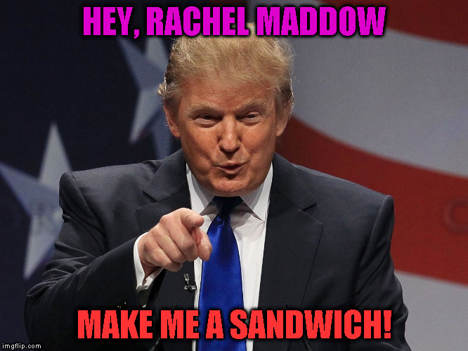 Donald trump | HEY, RACHEL MADDOW; MAKE ME A SANDWICH! | image tagged in donald trump | made w/ Imgflip meme maker