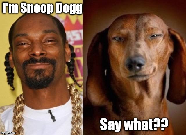 I'm Snoop Dogg; Say what?? | image tagged in snoop__dog | made w/ Imgflip meme maker