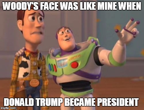 X, X Everywhere Meme | WOODY'S FACE WAS LIKE MINE WHEN; DONALD TRUMP BECAME PRESIDENT | image tagged in memes,x x everywhere | made w/ Imgflip meme maker