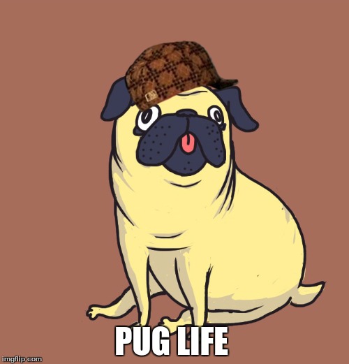 Pug life | PUG LIFE | image tagged in pugs,pug life | made w/ Imgflip meme maker