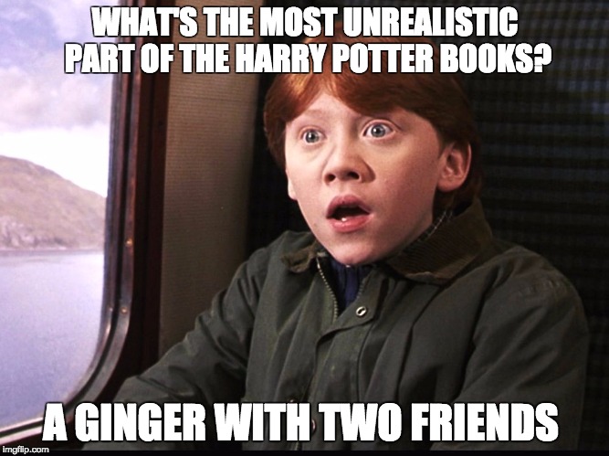 Ron Weasly | WHAT'S THE MOST UNREALISTIC PART OF THE HARRY POTTER BOOKS? A GINGER WITH TWO FRIENDS | image tagged in ron weasly | made w/ Imgflip meme maker