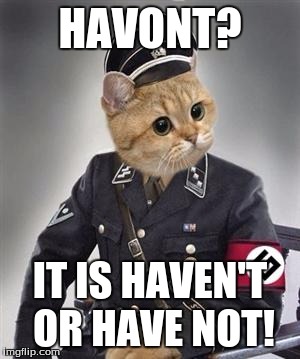 grammar nazi cat | HAVONT? IT IS HAVEN'T OR HAVE NOT! | image tagged in grammar nazi cat | made w/ Imgflip meme maker