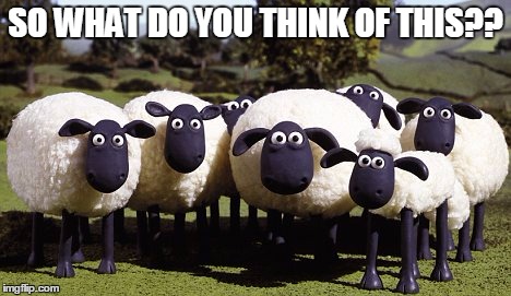 SO WHAT DO YOU THINK OF THIS?? | image tagged in sheep | made w/ Imgflip meme maker