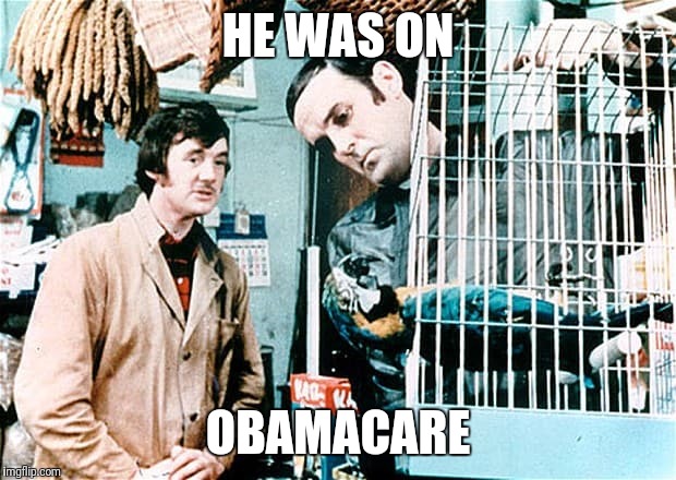 And before you ask, British parrots are eligible | HE WAS ON; OBAMACARE | image tagged in monty python week,obamacare | made w/ Imgflip meme maker
