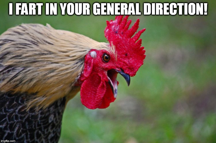 I FART IN YOUR GENERAL DIRECTION! | made w/ Imgflip meme maker