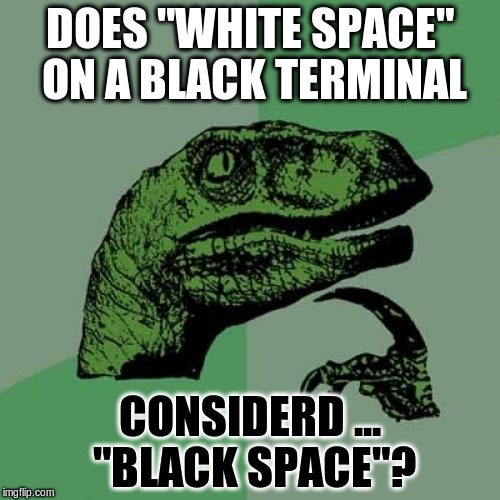 Philosoraptor Meme | DOES "WHITE SPACE" ON A BLACK TERMINAL; CONSIDERD ... "BLACK SPACE"? | image tagged in memes,philosoraptor | made w/ Imgflip meme maker