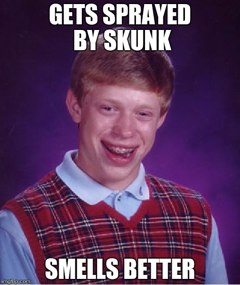 My neighborhood got nuked by a skunk the other day when it sprayed and died somehow, we could smell it miles away it sucked ass. | GETS SPRAYED BY SKUNK; SMELLS BETTER | image tagged in memes,bad luck brian | made w/ Imgflip meme maker