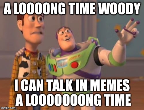 A LOOOONG TIME WOODY I CAN TALK IN MEMES A LOOOOOOONG TIME | image tagged in memes,x x everywhere | made w/ Imgflip meme maker