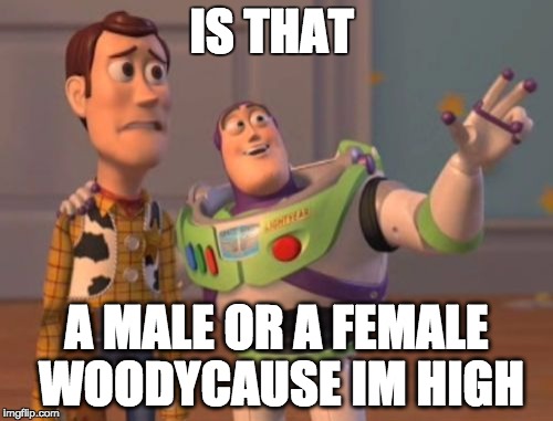 X, X Everywhere Meme | IS THAT; A MALE OR A FEMALE WOODYCAUSE IM HIGH | image tagged in memes,x x everywhere | made w/ Imgflip meme maker
