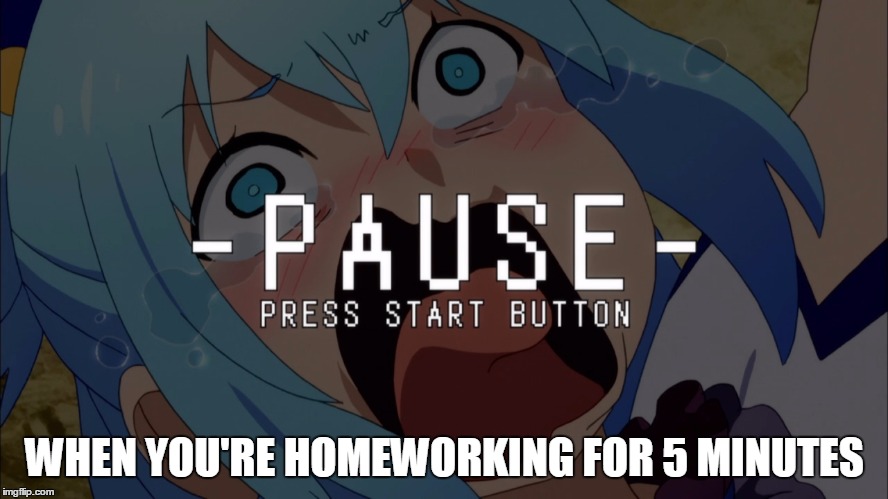 pause | WHEN YOU'RE HOMEWORKING FOR 5 MINUTES | image tagged in pause | made w/ Imgflip meme maker