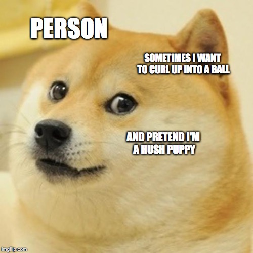 ever get this feeling?
 | PERSON; SOMETIMES I WANT TO CURL UP INTO A BALL; AND PRETEND I'M A HUSH PUPPY | image tagged in memes,doge | made w/ Imgflip meme maker