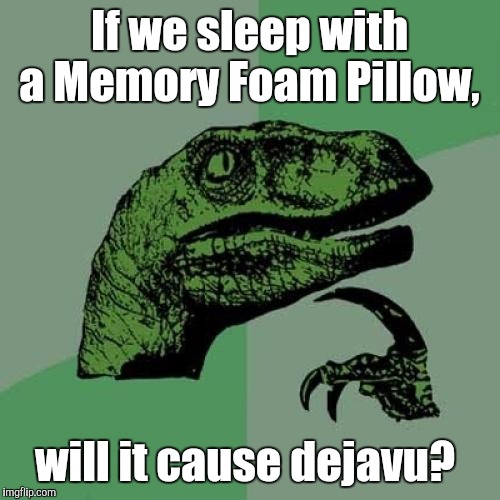 Philosoraptor | If we sleep with a Memory Foam Pillow, will it cause dejavu? | image tagged in memes,philosoraptor | made w/ Imgflip meme maker