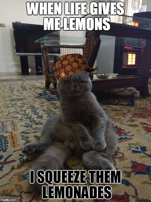 WHEN LIFE GIVES ME LEMONS; I SQUEEZE THEM LEMONADES | image tagged in horny cat,scumbag | made w/ Imgflip meme maker