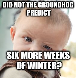 Skeptical Baby | DID NOT THE GROUNDHOG PREDICT; SIX MORE WEEKS OF WINTER? | image tagged in memes,skeptical baby | made w/ Imgflip meme maker