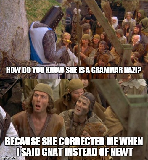 BECAUSE SHE CORRECTED ME WHEN I SAID GNAT INSTEAD OF NEWT HOW DO YOU KNOW SHE IS A GRAMMAR NAZI? | made w/ Imgflip meme maker