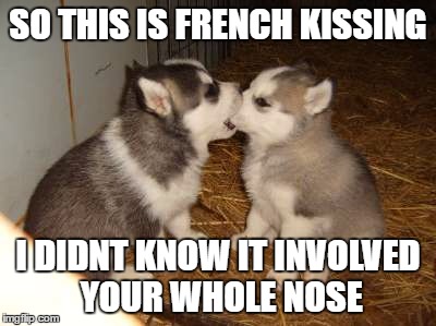 Cute Puppies Meme | SO THIS IS FRENCH KISSING; I DIDNT KNOW IT INVOLVED YOUR WHOLE NOSE | image tagged in memes,cute puppies | made w/ Imgflip meme maker