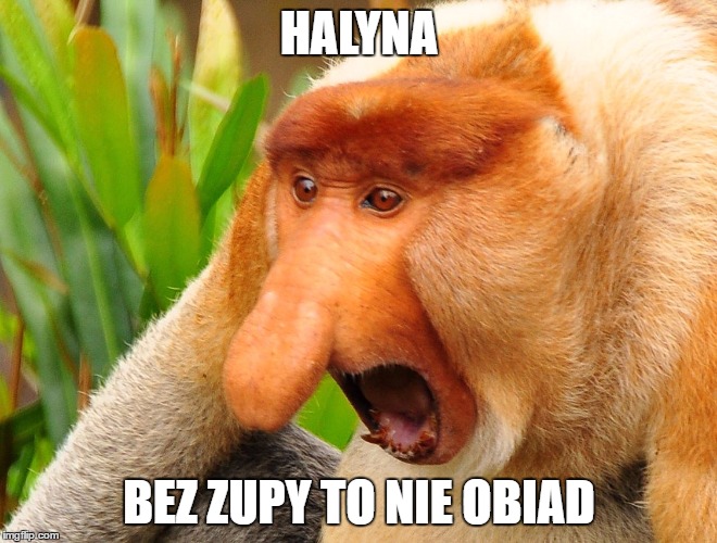 Nosacz | HALYNA; BEZ ZUPY TO NIE OBIAD | image tagged in nosacz | made w/ Imgflip meme maker