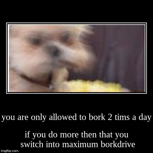 when you bork too much | image tagged in meme,demotivationals,kill me,bork | made w/ Imgflip demotivational maker