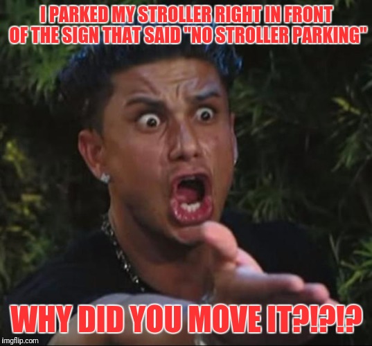 Only theme park workers will get this | I PARKED MY STROLLER RIGHT IN FRONT OF THE SIGN THAT SAID "NO STROLLER PARKING"; WHY DID YOU MOVE IT?!?!? | image tagged in jersey shore guy,memes | made w/ Imgflip meme maker