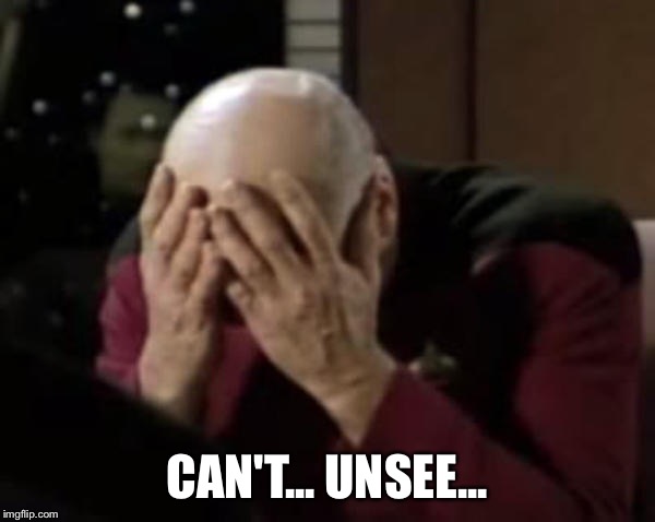 Captain Picard Double Facepalm | CAN'T... UNSEE... | image tagged in captain picard double facepalm | made w/ Imgflip meme maker