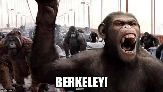 Planet of the apes | BERKELEY! | image tagged in planet of the apes | made w/ Imgflip meme maker