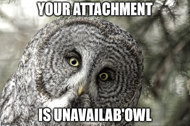 unavailab owl  | YOUR ATTACHMENT; IS UNAVAILAB'OWL | image tagged in attachment unavailable,owl,birb,bird | made w/ Imgflip meme maker
